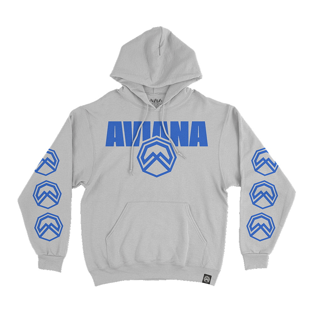 Logo Hoodie Grey